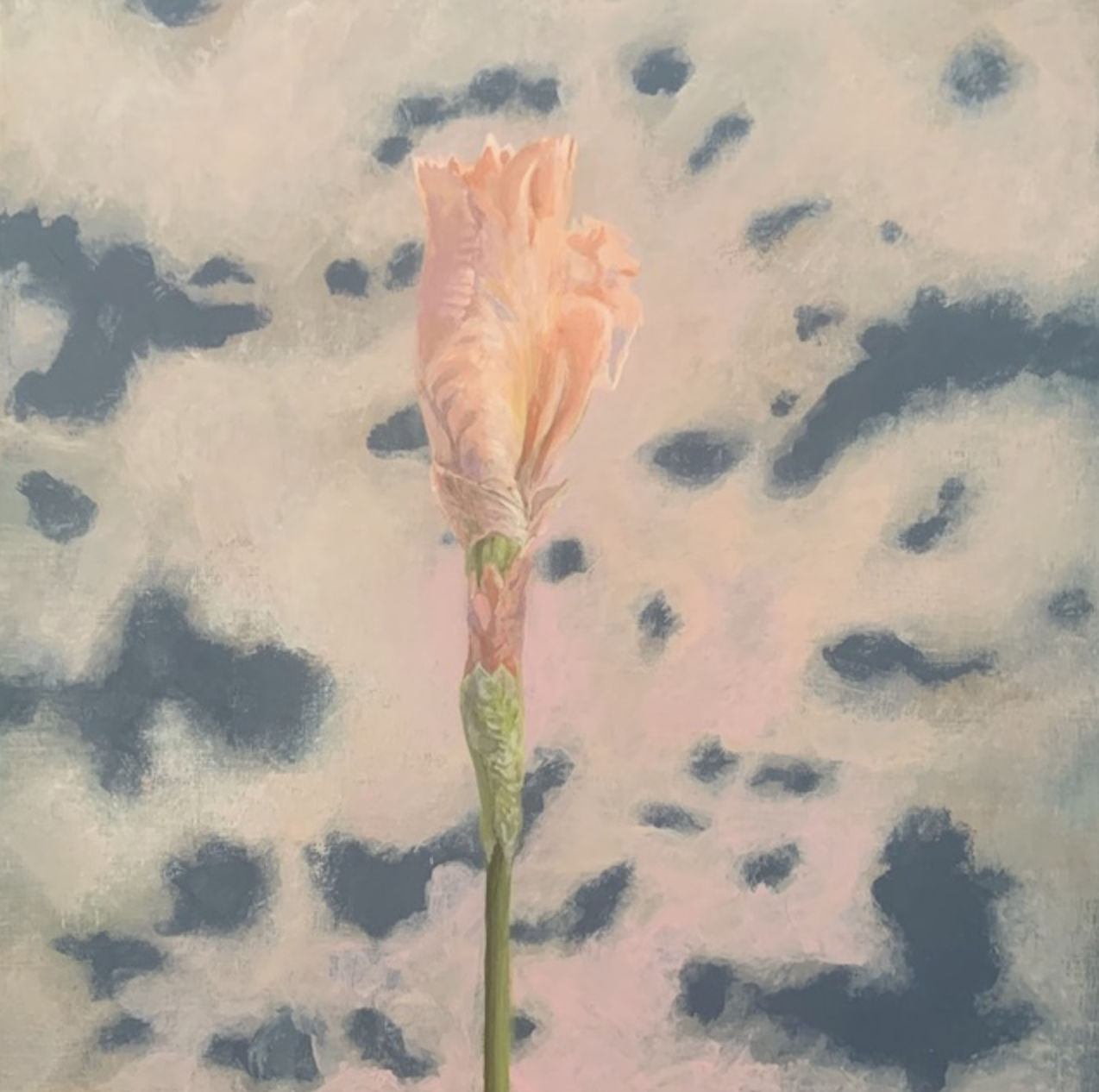 Nancy Diamond, Closed Iris, 2022