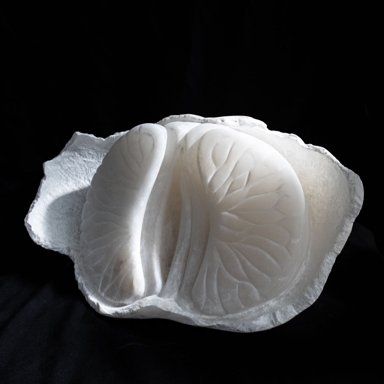 BibiMichèle, Clementine, 2023