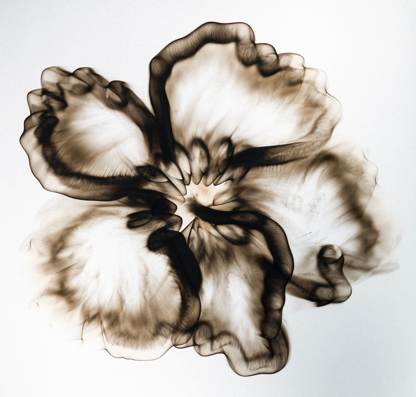 Dennis Lee Mitchell, Line, 2025