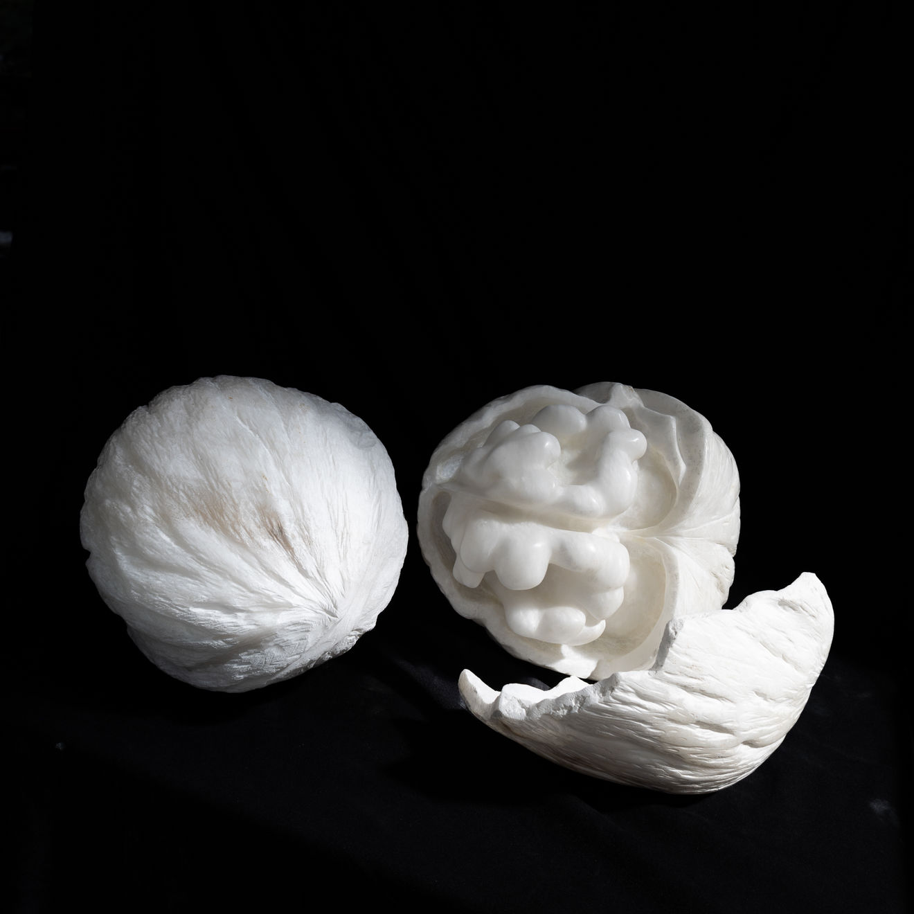 BibiMichèle, Walnut, 2023