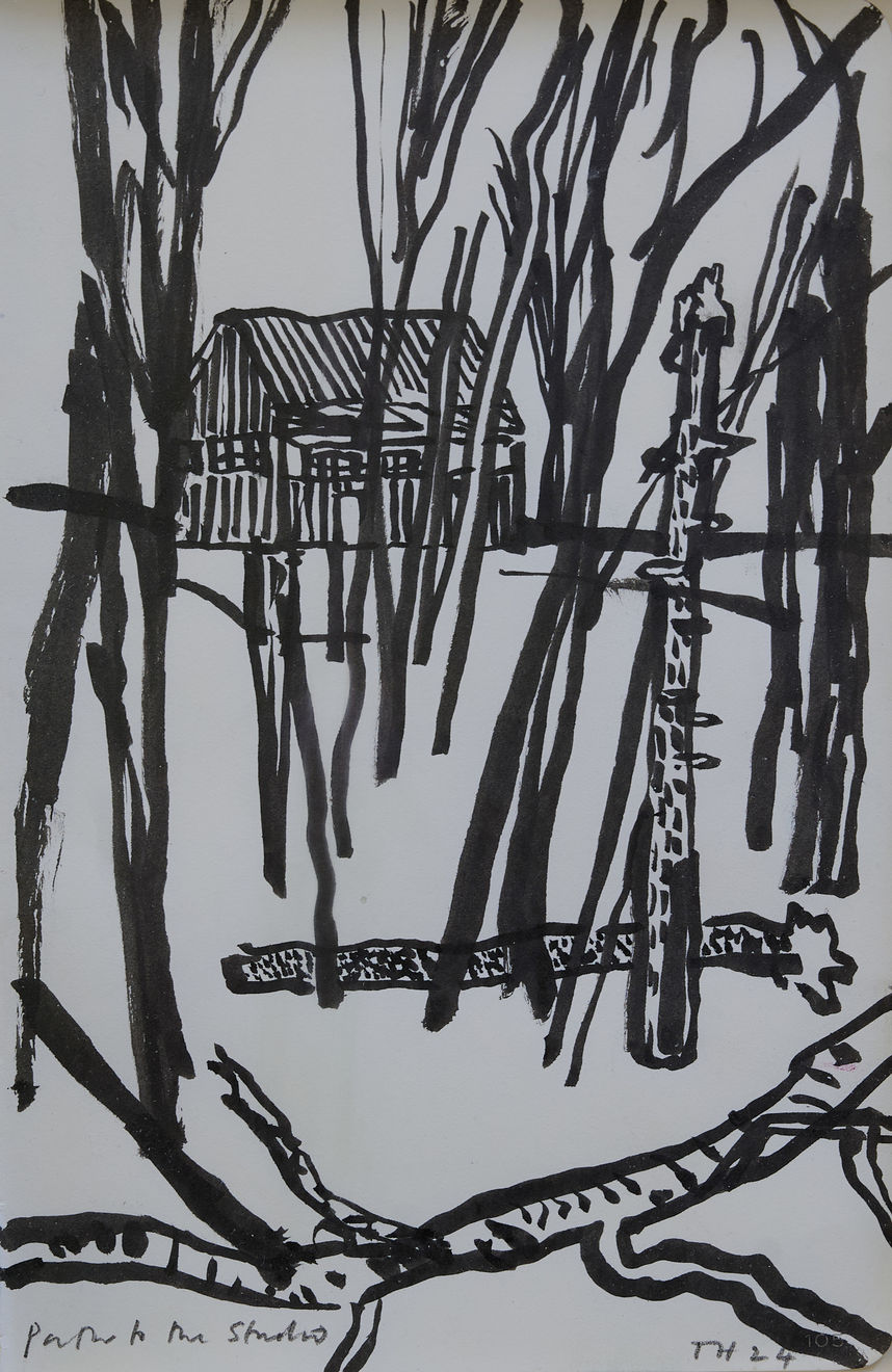 Tom Hammick, Path to the Studio, 2024