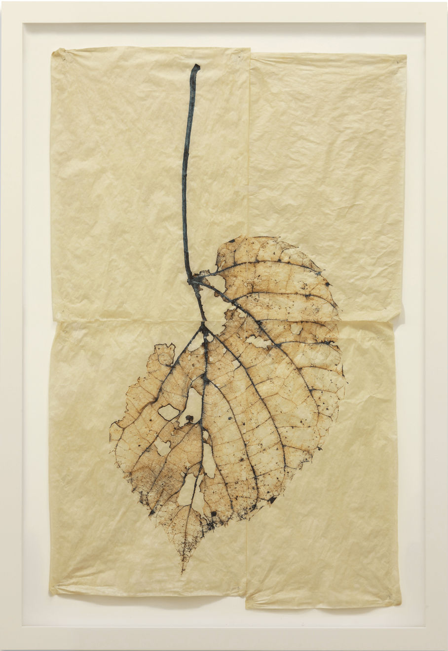 Doug and Mike Starn, Black Pulse 6, AP1, 2000-2015