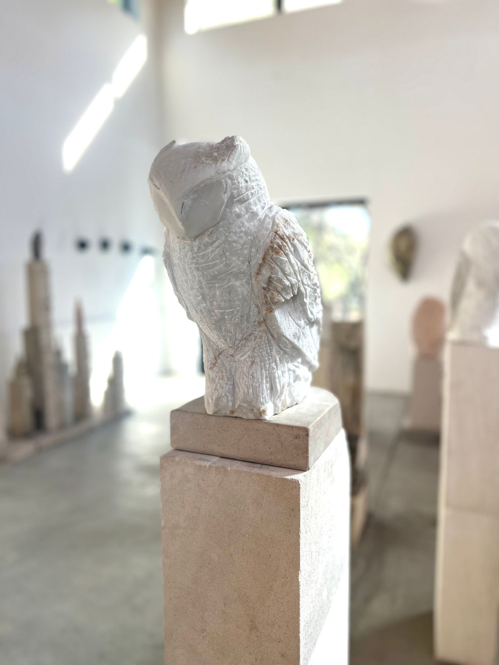 Jane Rosen, Parliament Owl, 2023