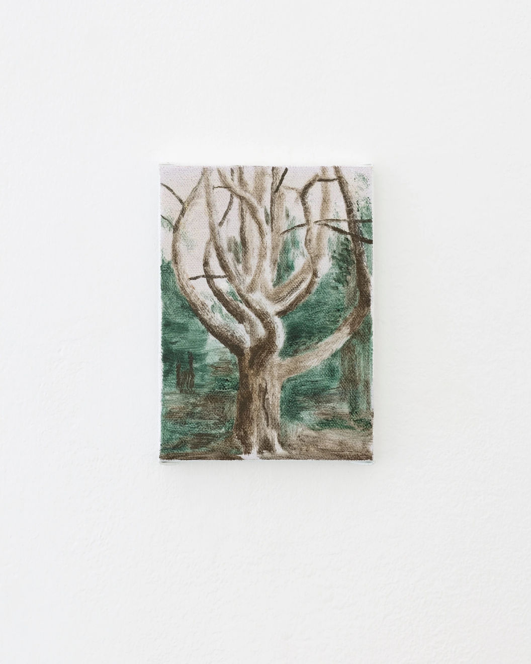 Susanne Johansson, Tallen vid Ledskär / A Pine Tree at Ledskär, 2023