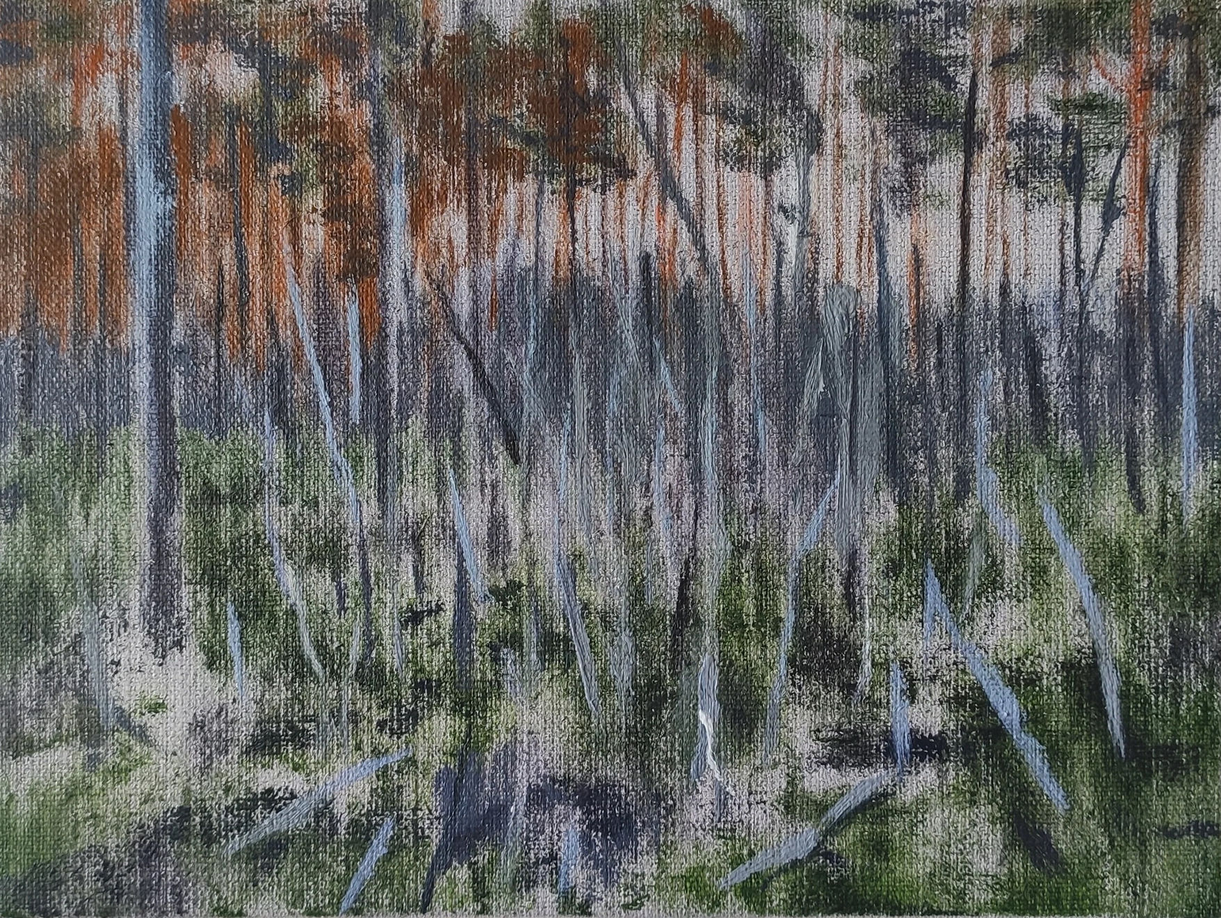 Susanne Johansson, Tidstecken (Säva mosse) / Signs of Time (Säva Mire), 2022