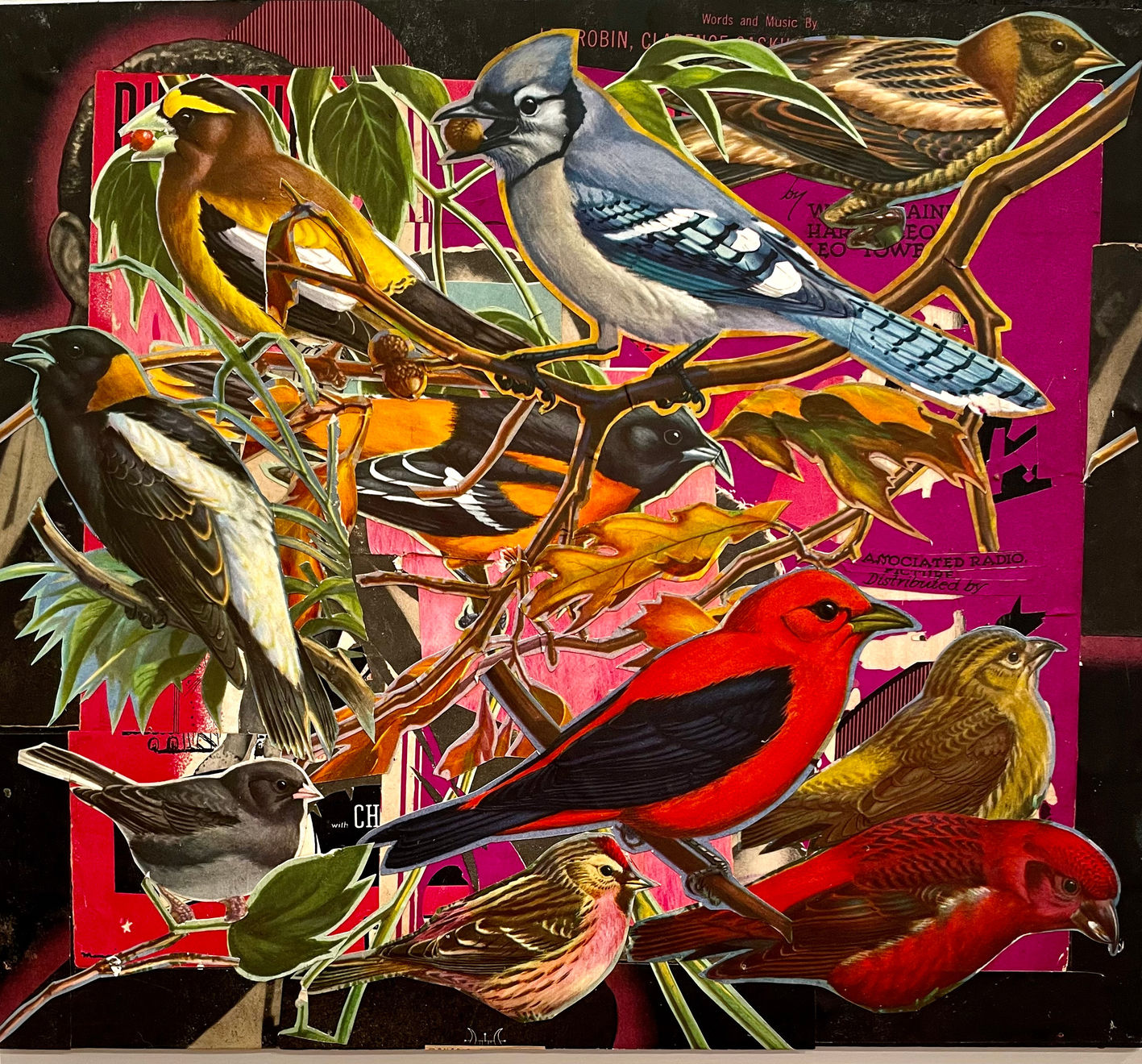 Lance Letscher, Bluejay with an Acorn, 2023