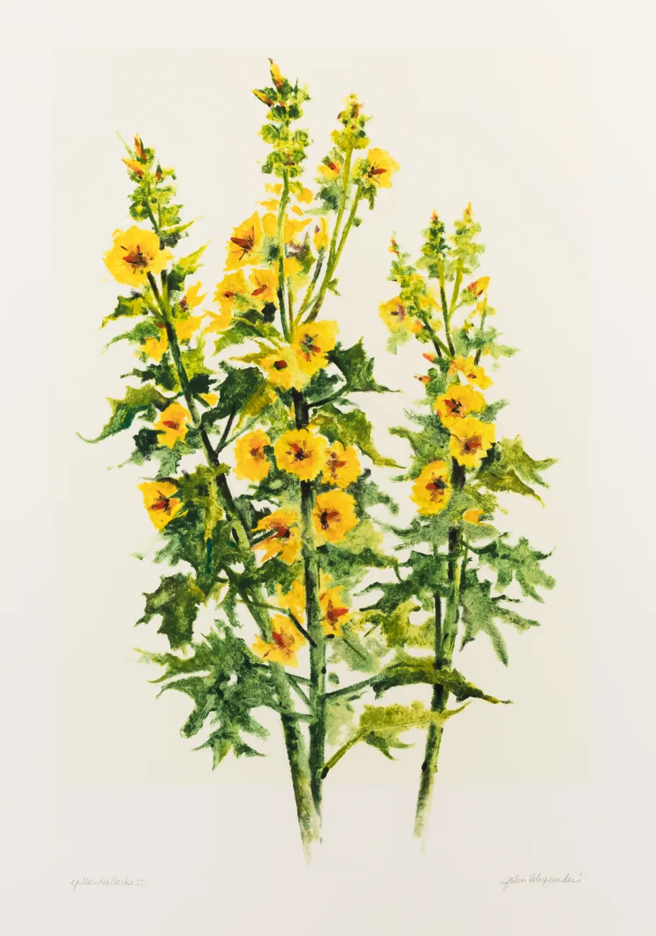 John Alexander, Yellow Hallocks II, 2019