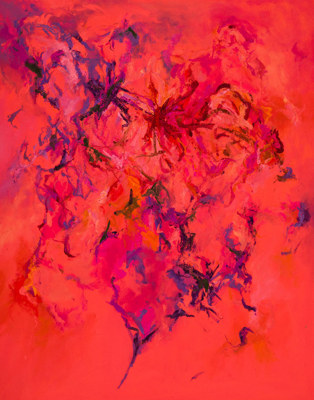 Sean P McGaughey, Rose Garden, 2022