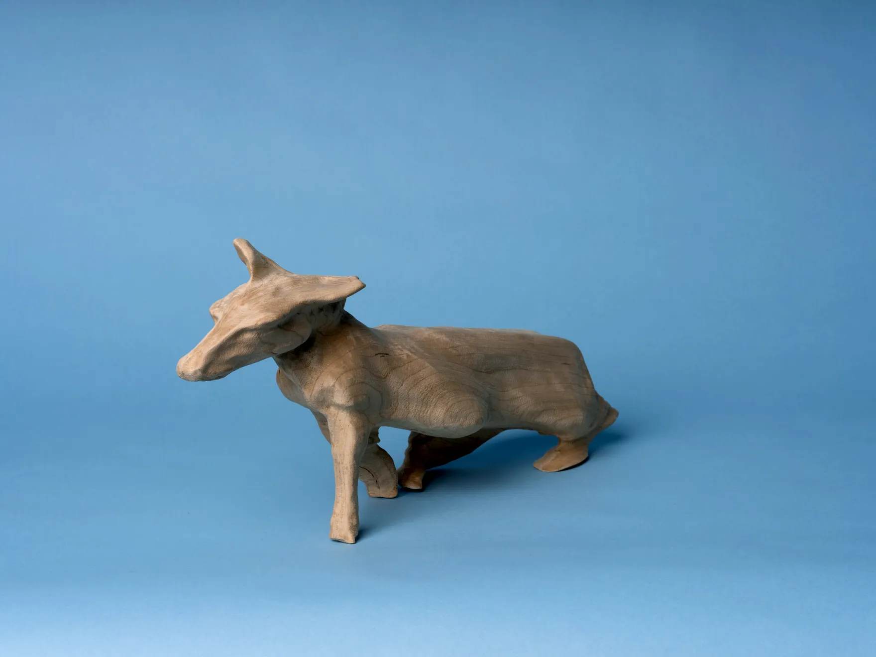 Nour Bishouty, Donkey, 2022