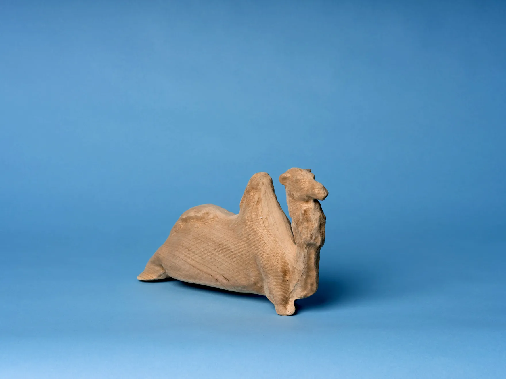 Nour Bishouty, Background Camel, 2022