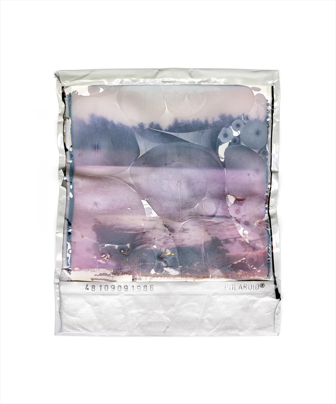 Gohar Dashti, Disappearing Nature #7, 2022