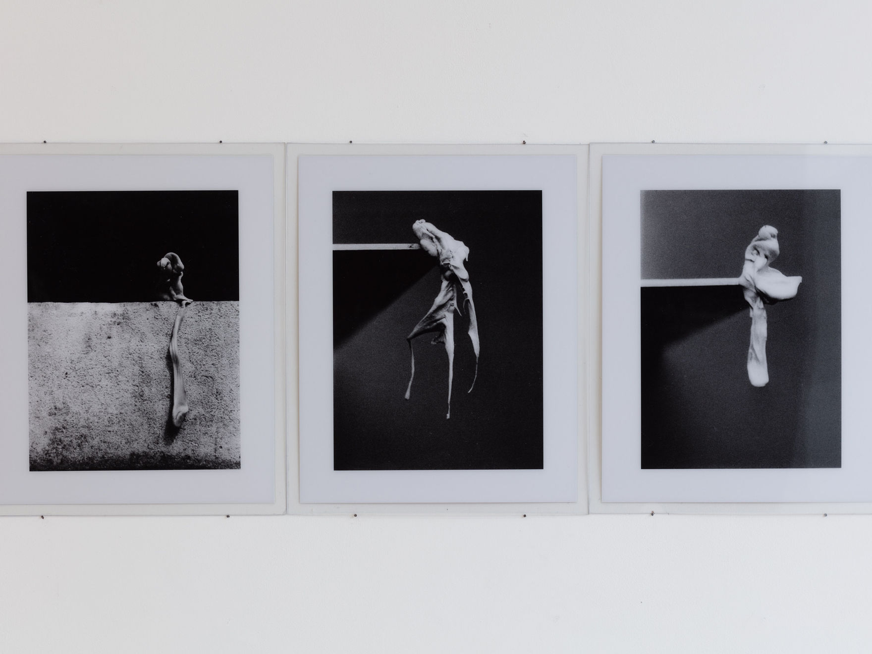 Alina Szapocznikow, Photosculptures, 1971 - 2007