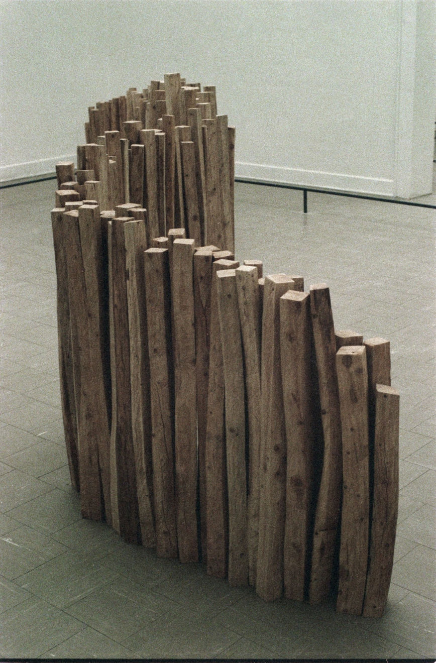 Nicholas Pope, Venice Biennale, British Pavilion, Venice, 1980
