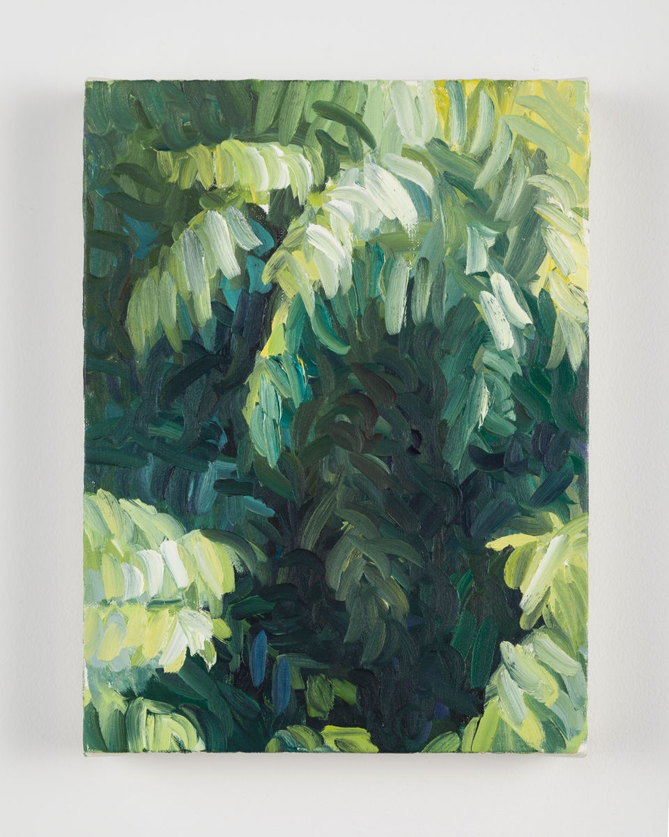 Cynthia Daignault, Window (Ash), 2015