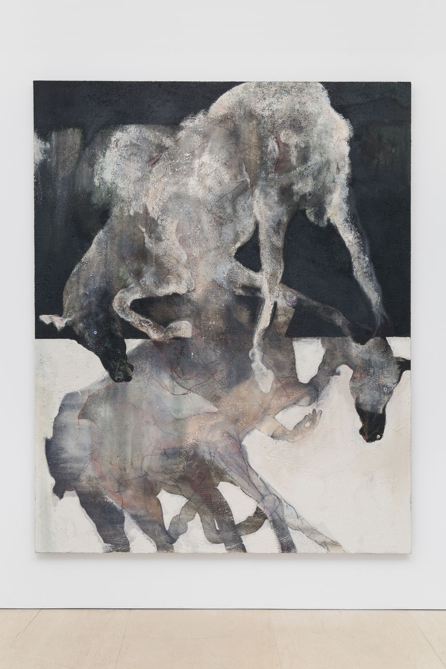 Patrick H Jones, Distill, 2019