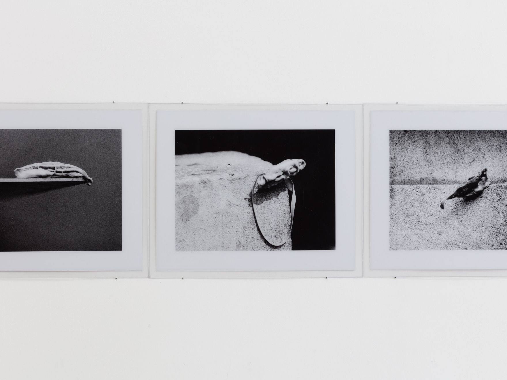 Alina Szapocznikow, Photosculptures, 1971 - 2007