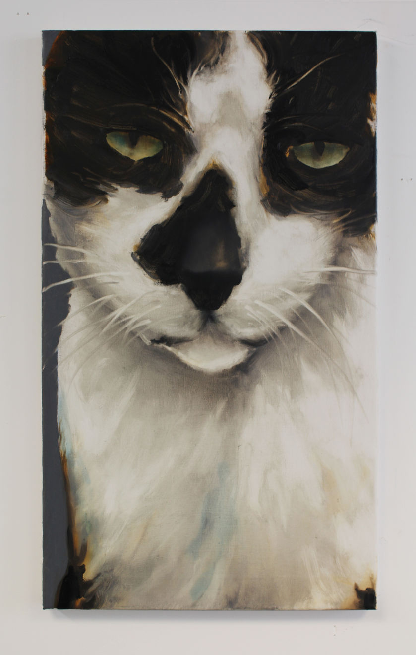 Tomas Harker, Missing Cat, 2022
