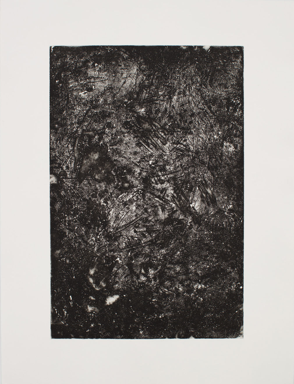 Kate Newby, More people need to see this, 2022