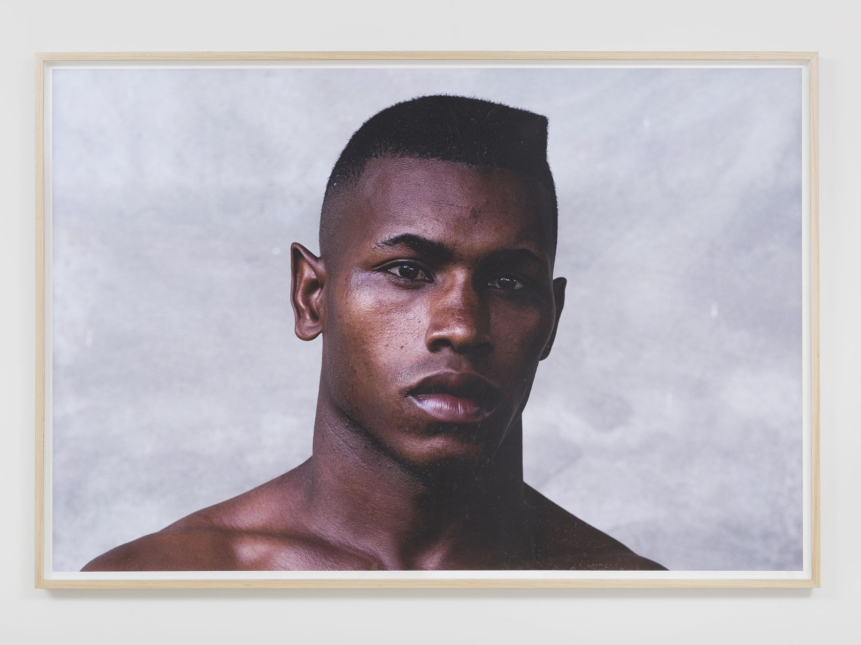 Gata Dalton, La Mirada de Luis, 2019