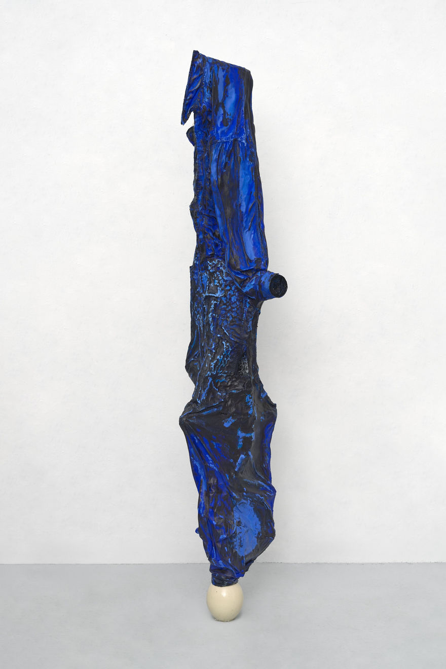 Piotr Bury Lakomy, Dziobak, 2024