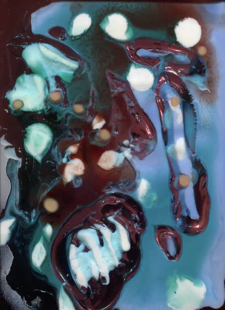 Samara Scott, Untitled (scan)