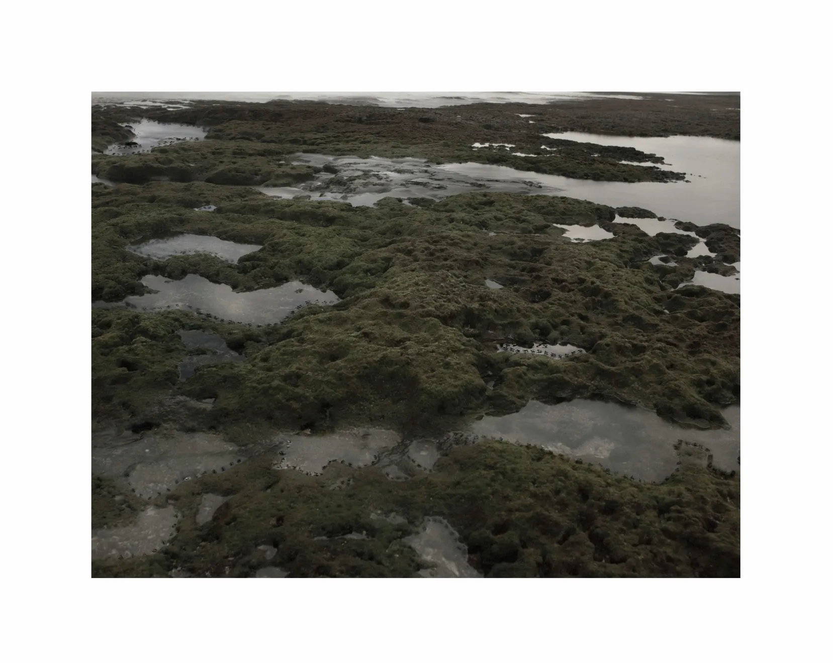 蔡佳葳, 蘭嶼 II Lanyu II, 2012