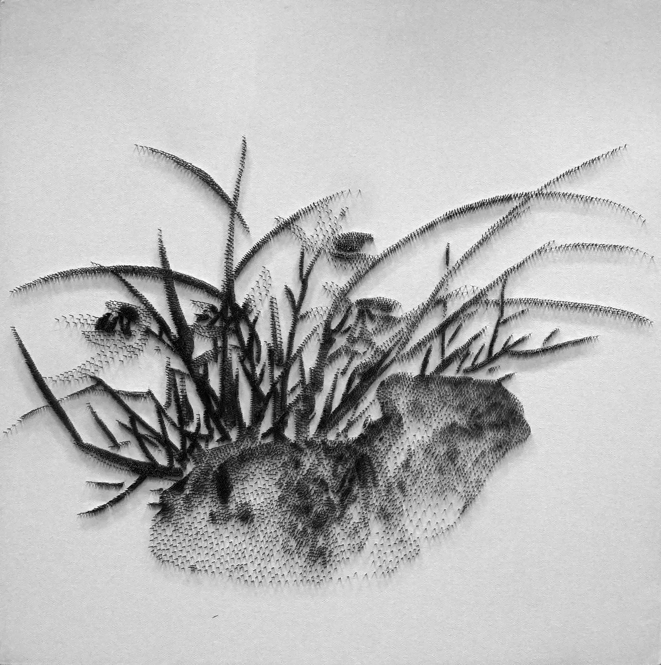 陳浚豪, 臨徐渭花卉圖之石蘭, 2021