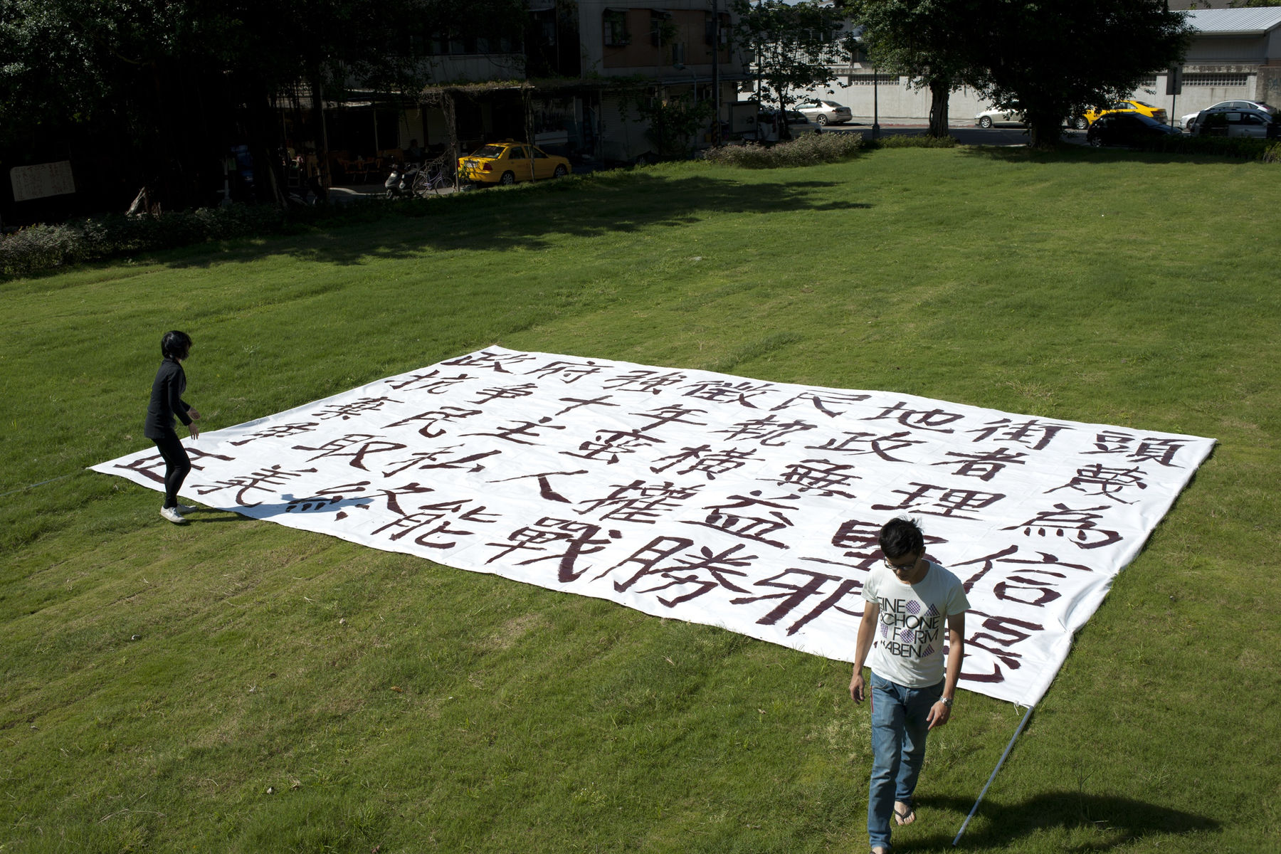 饒加恩, 台灣抗議體, 2009