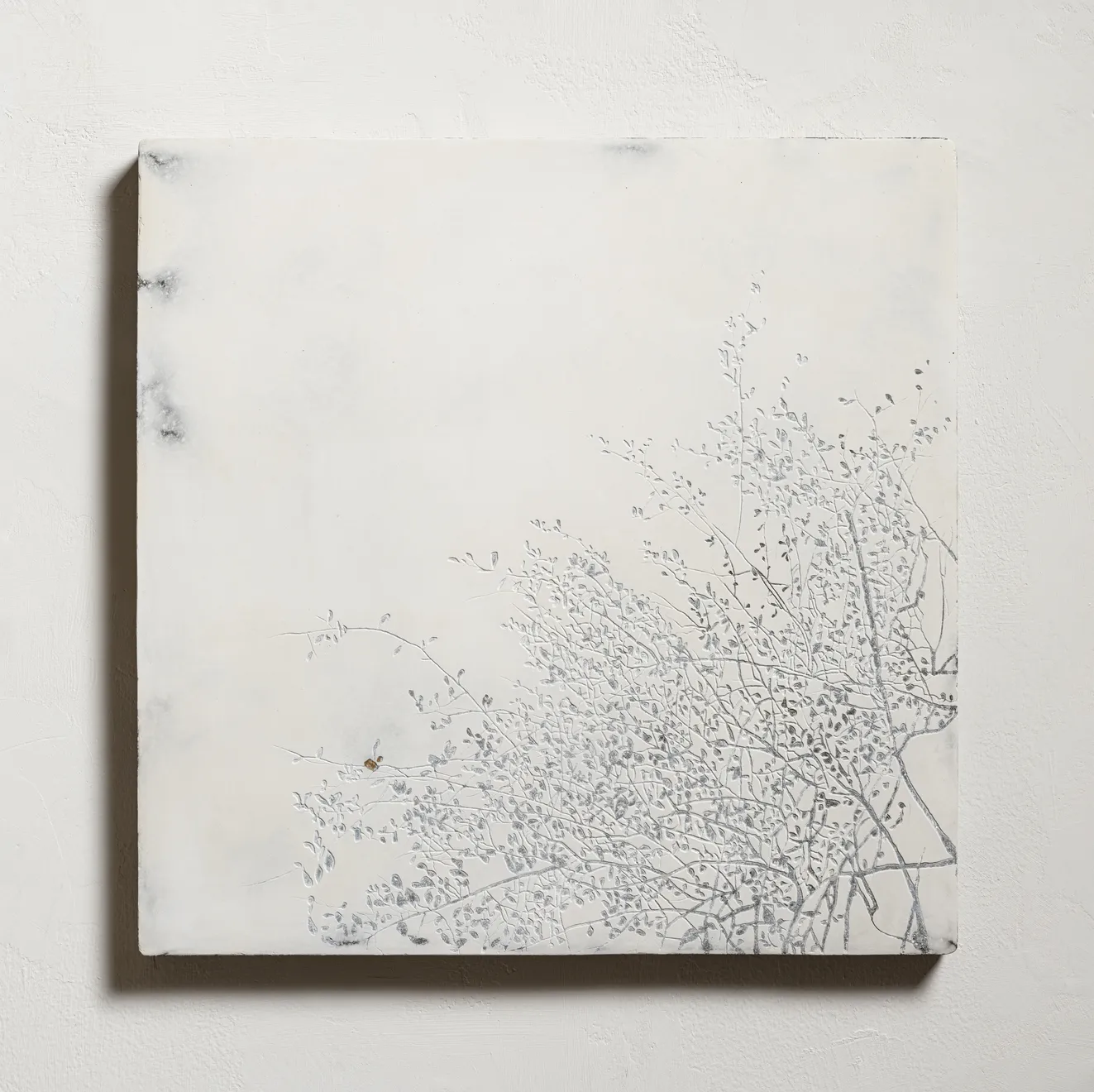 邱承宏 Chiu Chen Hung, 採光 No. 59 , 2025