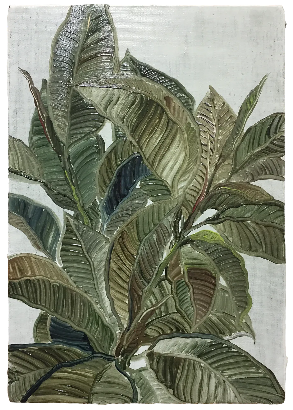 劉致宏 Chihhung Liu, 早晨的橡膠樹 Rubber tree in th morning, 2018