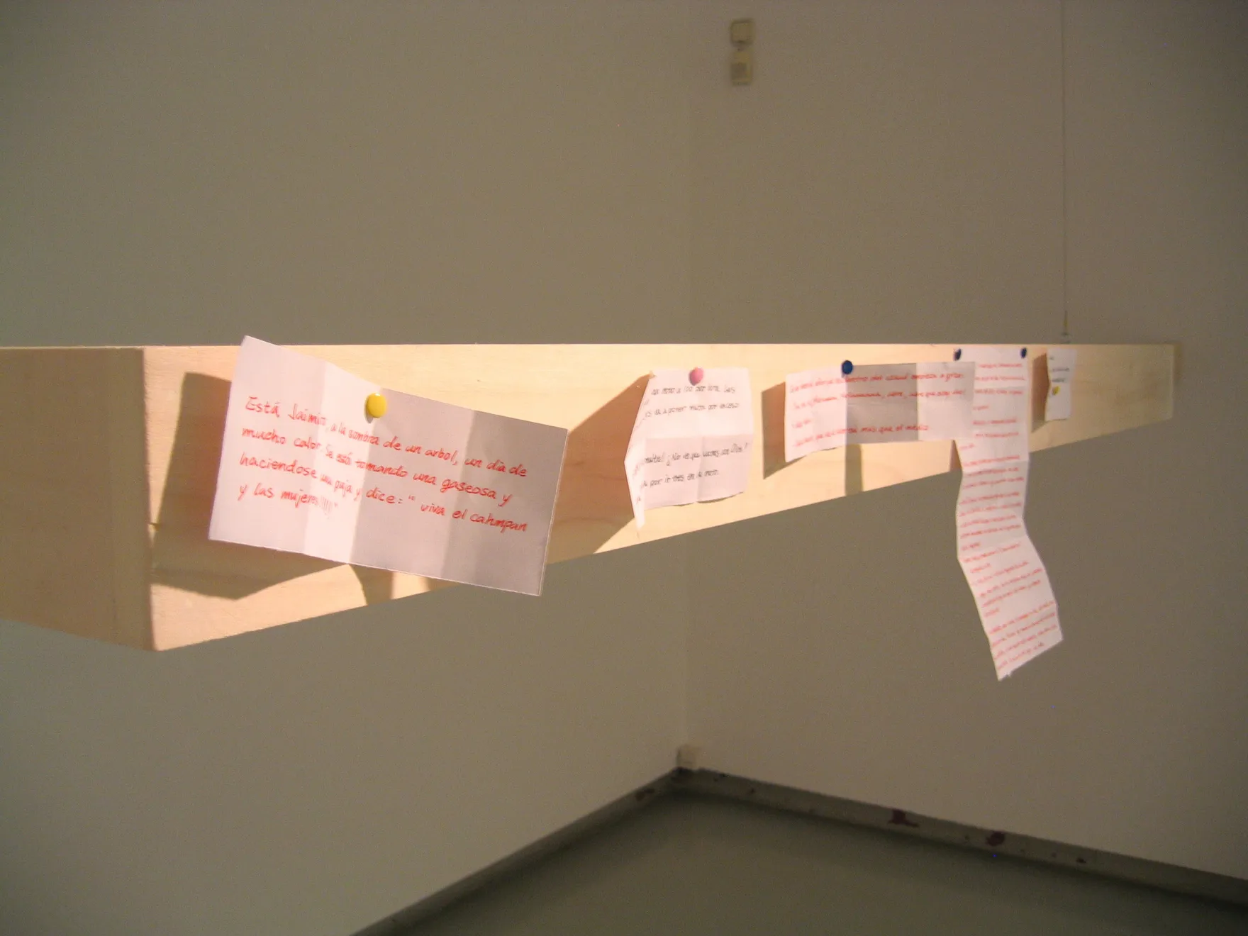 饒加恩, 律法上的兄弟, 2008