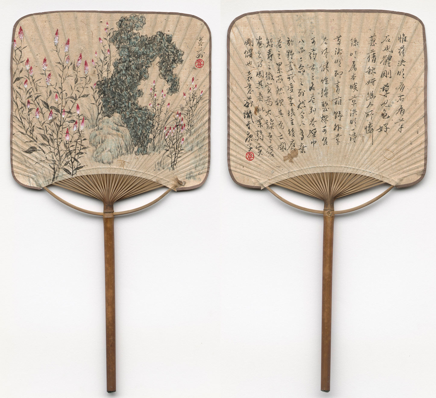 袁慧莉, 青葙石草方扇 Feather Cockscomb Flower and Stone on Square Fan Painting, 2020