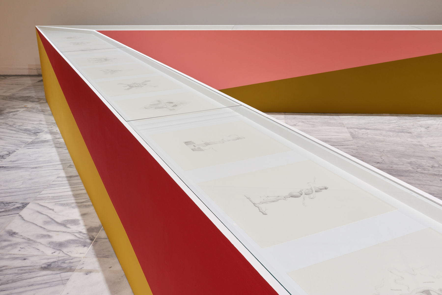 饒加恩, 紋徽, 2012–2014