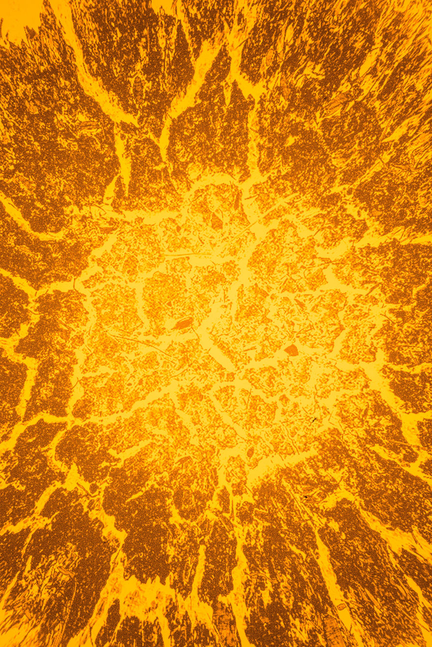 Faktura, Lumina terra | 2nd edition, 2025