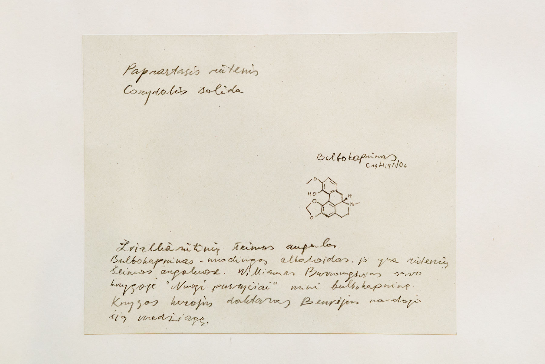 Laura Garbštienė, Iš ciklo "Gamtos pažinimo kambarys" (77 vnt.) / From cycle "Room of nature studies" (77 pieces), 2012