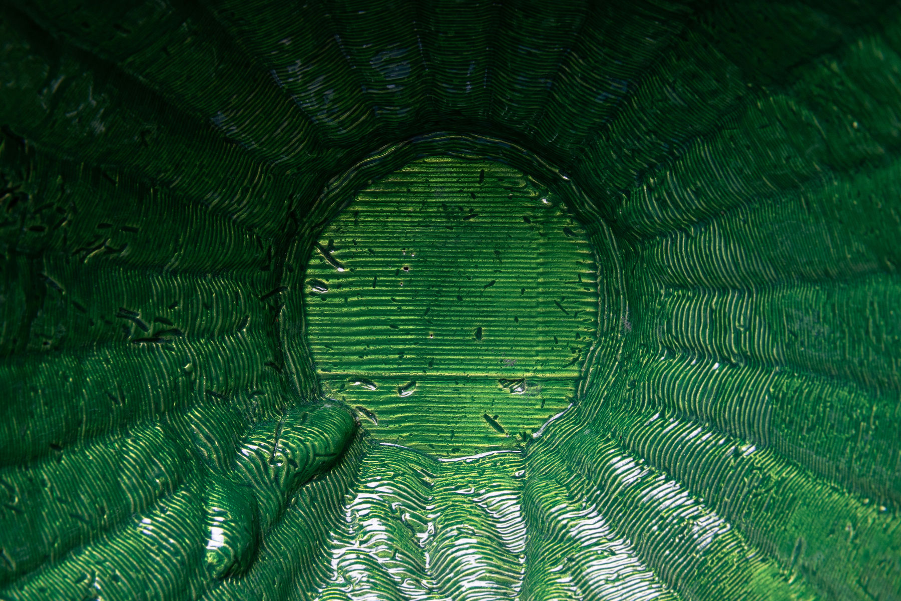 Vilius Dringelis, Sekti gėles / Follow the Flowers, Vaza / vase