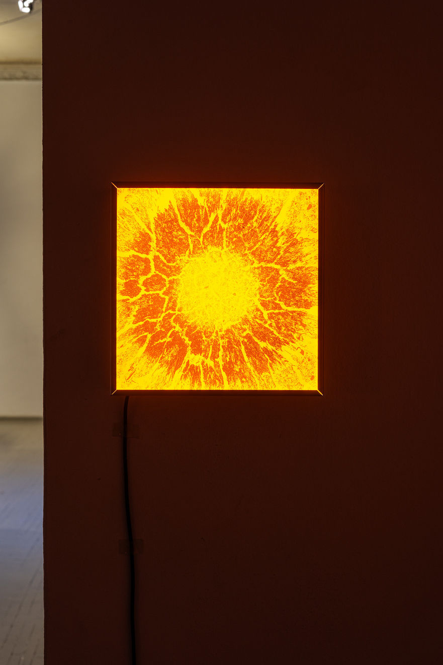 Faktura, Lumina terra | 2nd edition, 2025