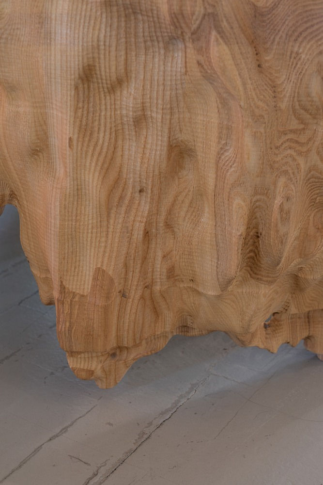 Paulina Vasiliauskaitė, Pelkė Laumėms*, Po vandeniu / Swamp of Laumės, 2023