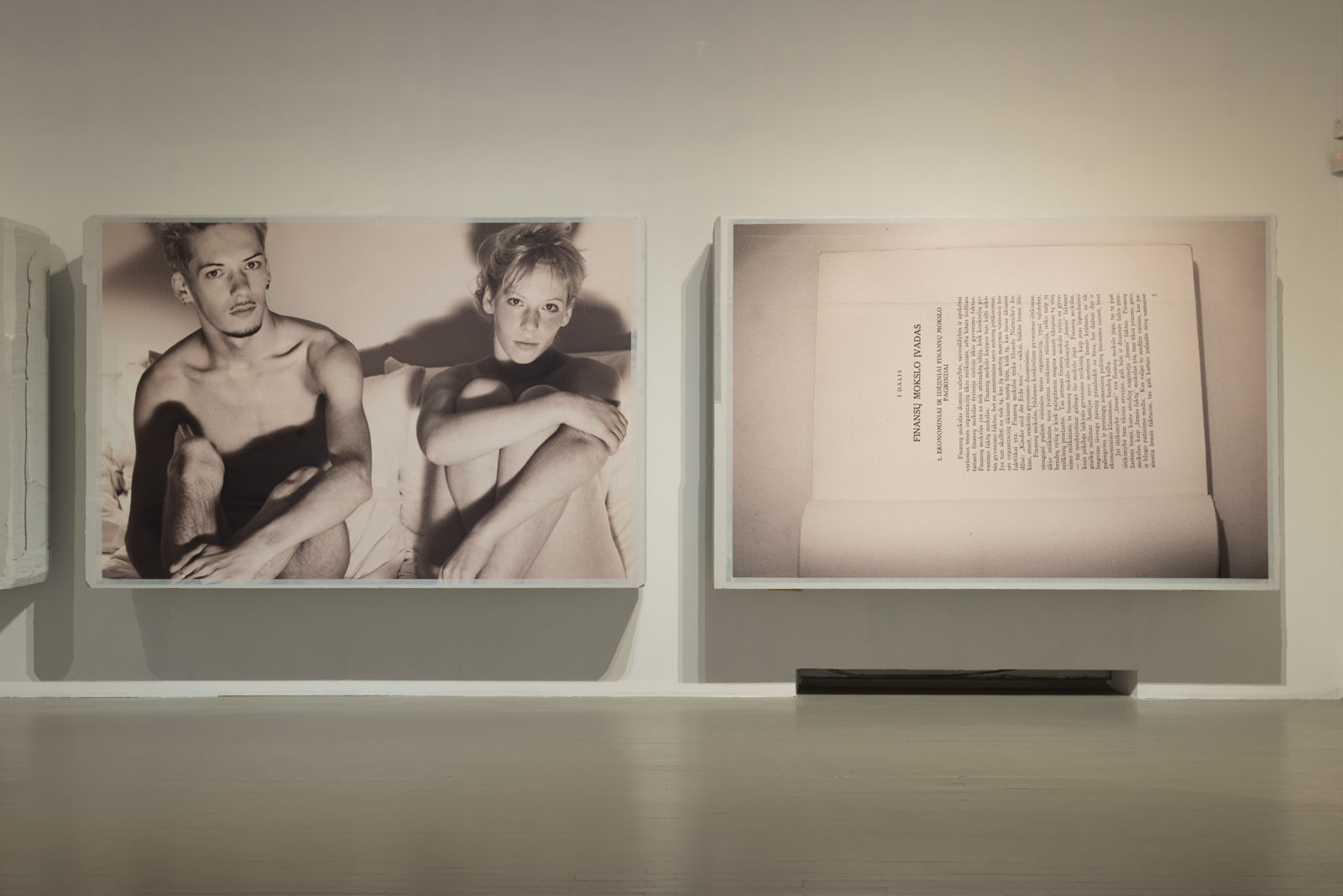 SetP Stanikas, Pavasaris IV / Spring IV, 2017