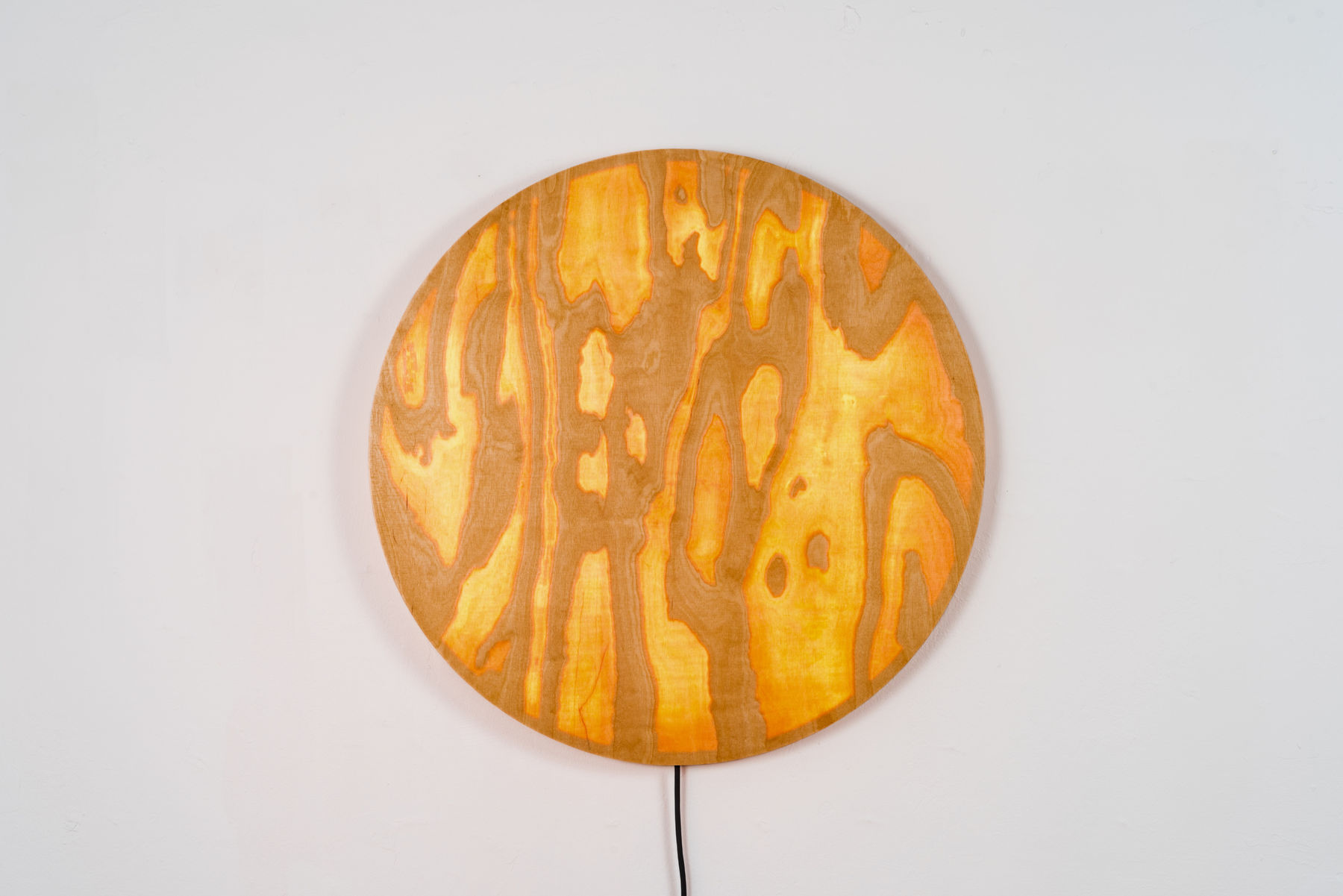 Milda Palivonaitė, LIT THINGS, 2024