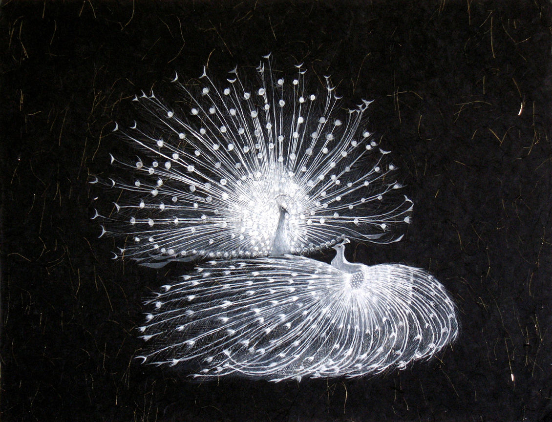Julia Chu, White Peacocks are Dancing Waltz, 2012