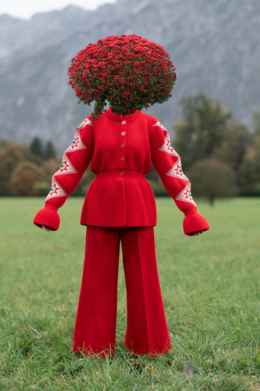 Daisy Seilern, Flowerheads 2, 2023
