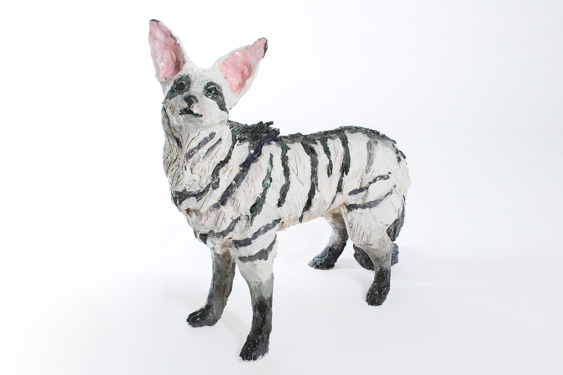 Julio Galindo, Lobo de tierra, 2022