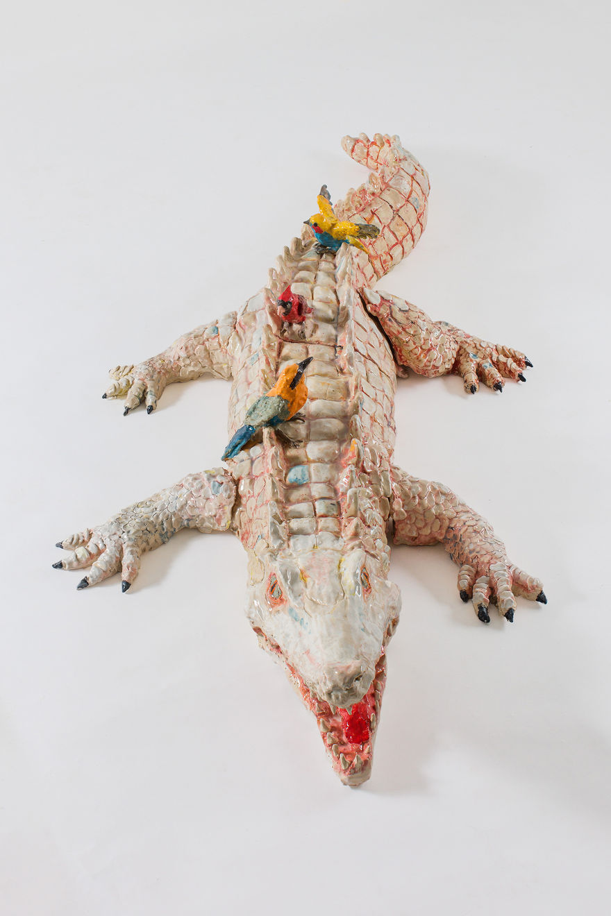 Julio Galindo, Cocodrilo, 2022