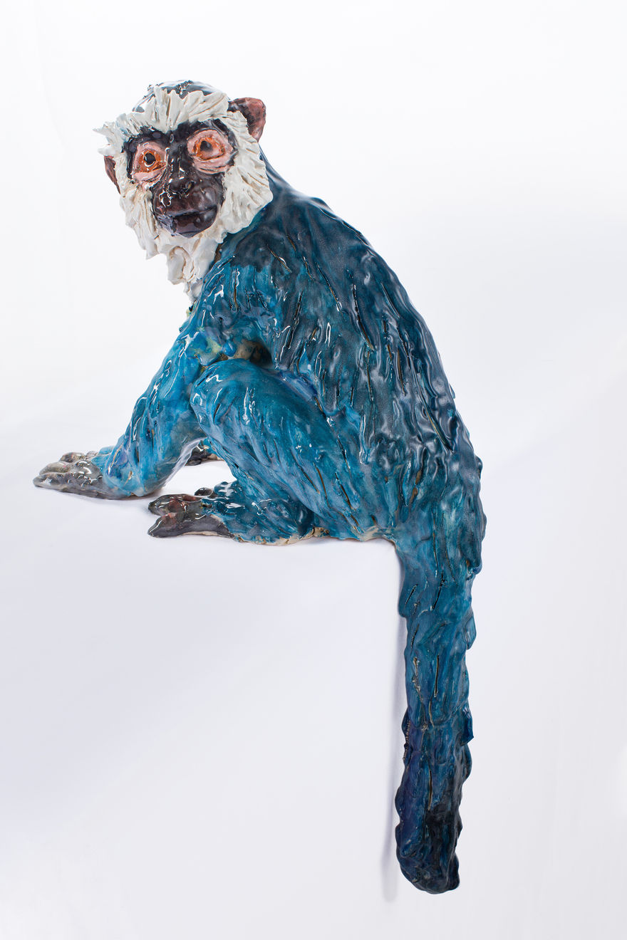 Julio Galindo, Mono azul, 2022