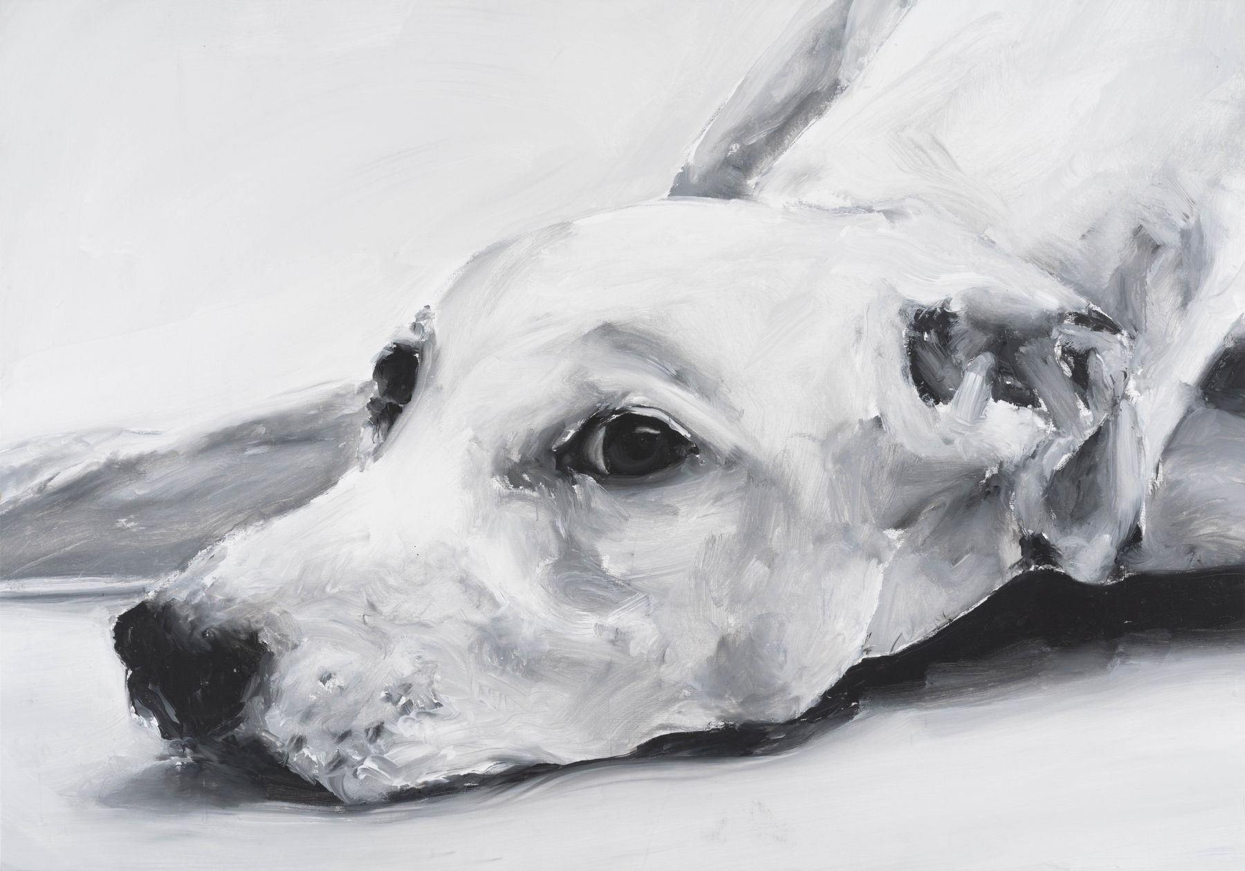 Santiago Ydáñez, Sin Titulo (Untitled), 2021