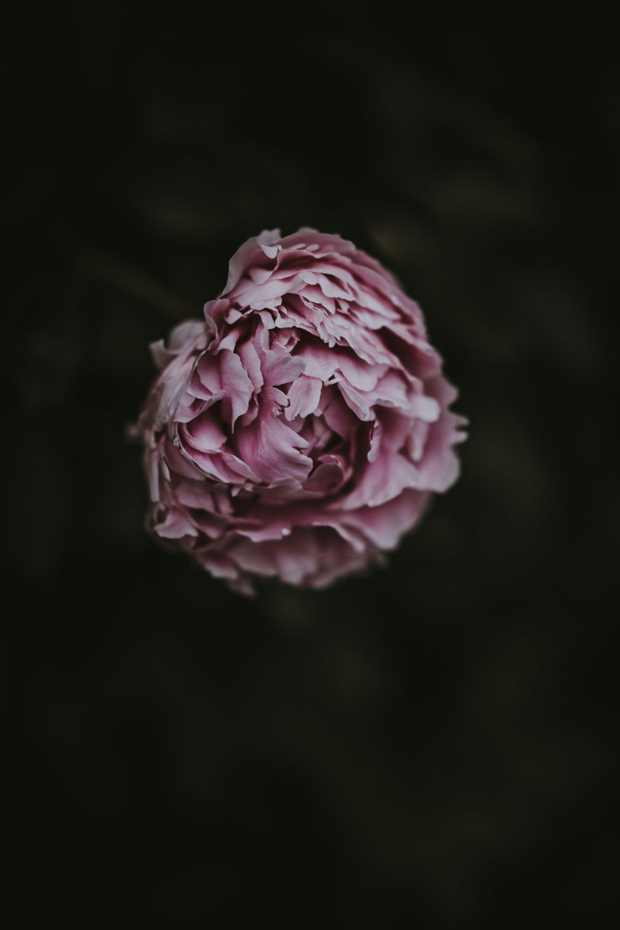 Katrina Forrest, Untitled, 2013