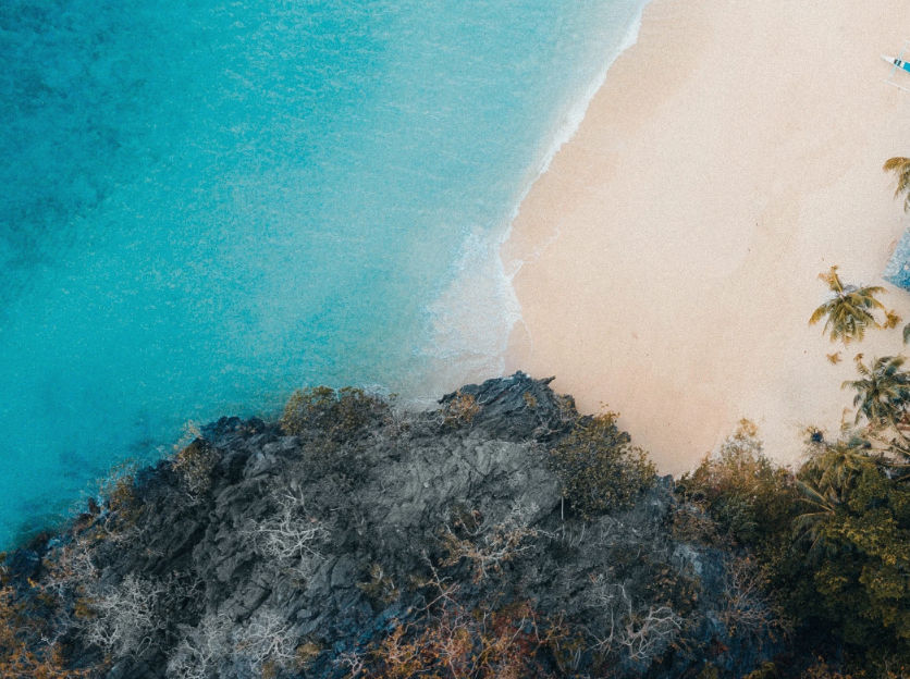 Jeremy Beck, On the clifftop, 2022