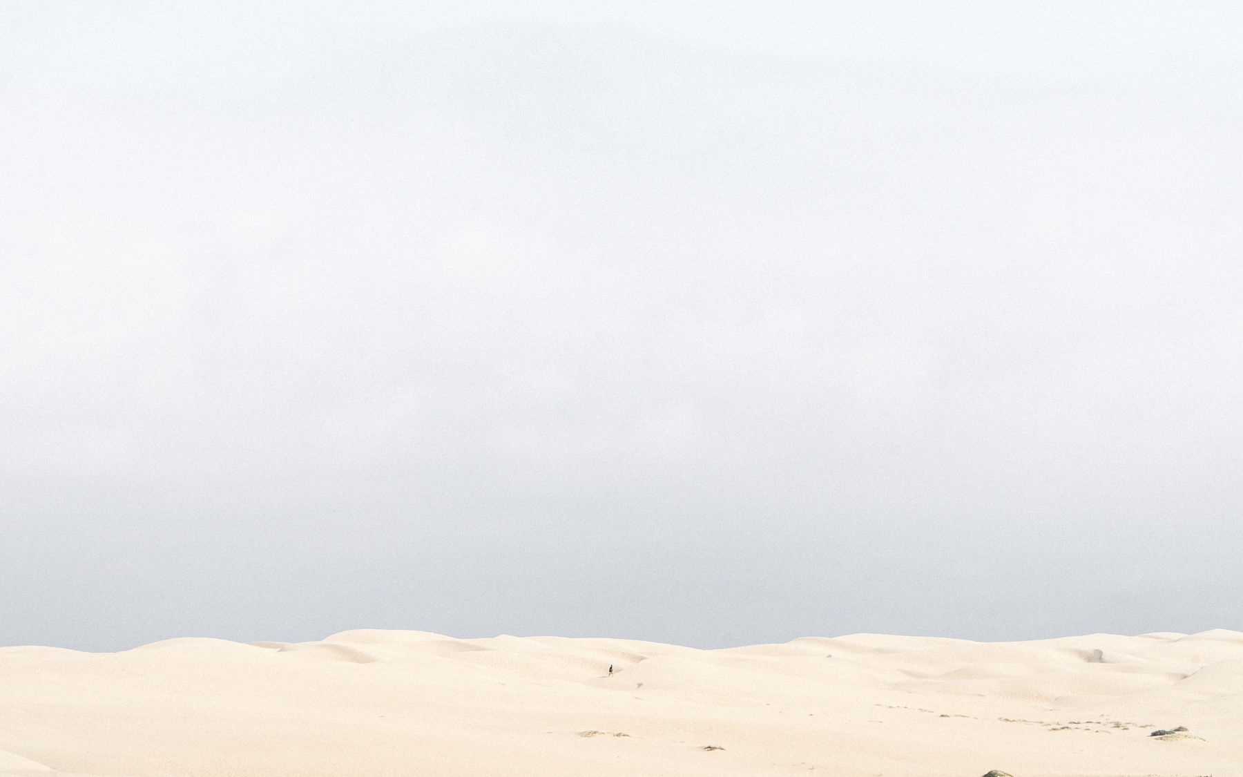 Victor Perez, Untitled