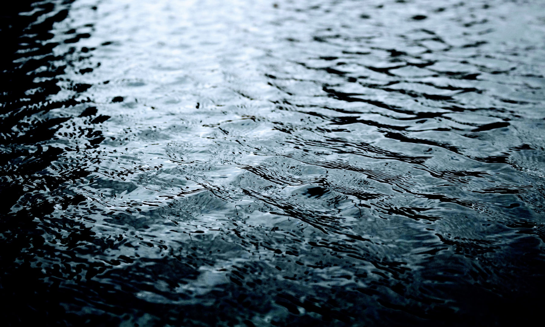 Malik Morris, Untitled, 2009